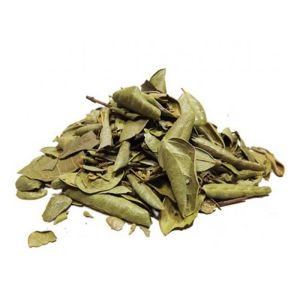 BOLDO CHILENO ( A GRANEL ) 