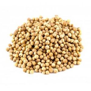 COENTRO EM GRÃOS ( A GRANEL ) 