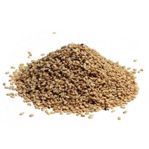 GERGELIM COM CASCA CRU INTEGRAL ( A GRANEL)