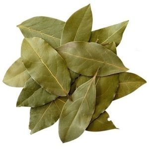 LOURO EM FOLHAS ( A GRANEL ) 